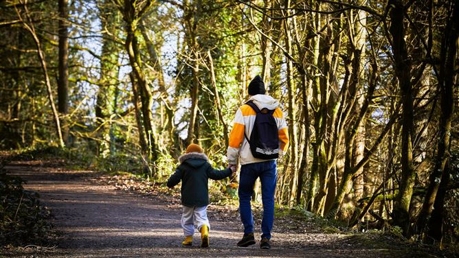 Torcaill Wood, Blessington, Wicklow