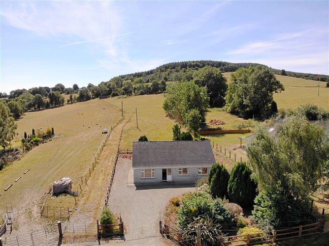 Bungalow on c. 5.18 Acres, Tinoran Hill North, Baltinglass, Wicklow