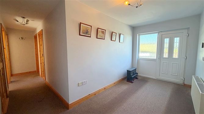 Bungalow on c. 5.18 Acres, Tinoran Hill North, Baltinglass, Wicklow