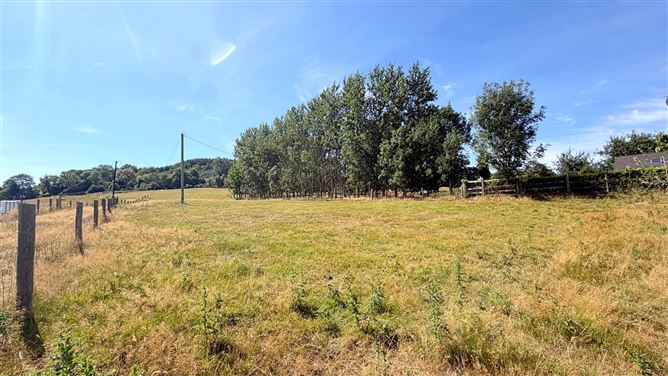 Photo 33 of 35 — Bungalow on c. 5.18 Acres, Tinoran Hill North, Baltinglass, Wicklow