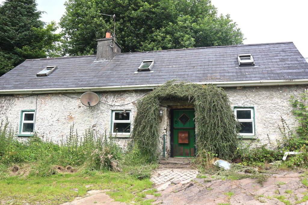 Stough Nealstown, Roscrea, Tipperary