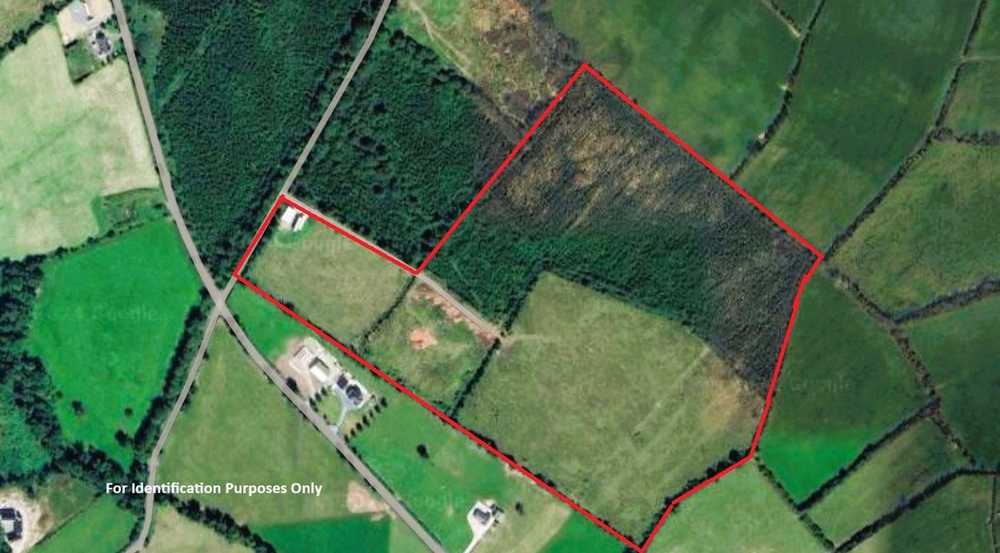 Lands & Forestry Baurnafea, Castlewarren, Paulstown, Co. Kilkenny