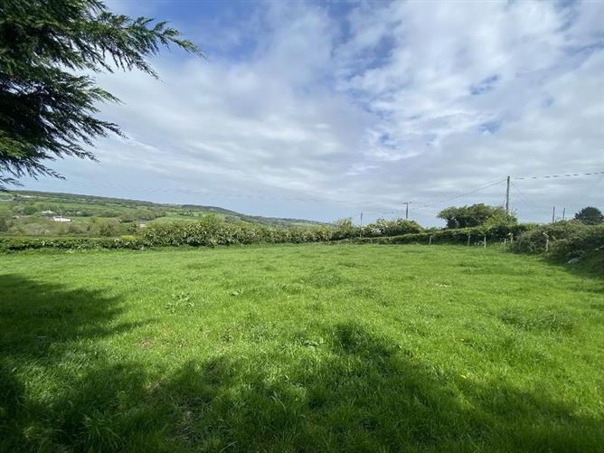 Knockinglass, Moyglass, Killenaule, Tipperary