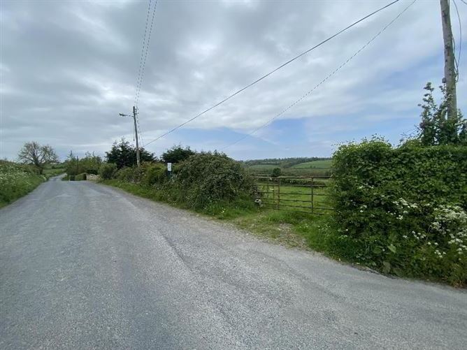 Knockinglass, Moyglass, Killenaule, Tipperary