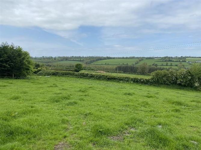 Knockinglass, Moyglass, Killenaule, Tipperary