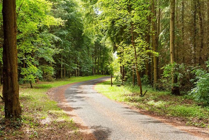 Dunmurraghill On C. 28acres, Donadea, Co. Kildare