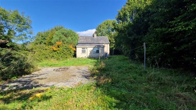 Shanbally, Ballypatrick, Clonmel, Co. Tipperary