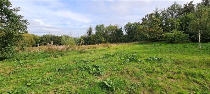 Cloodrumman More, Fenagh, Carrick-On-Shannon, Leitrim