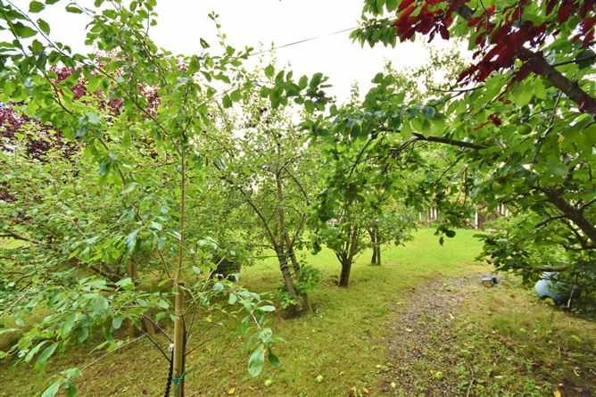 Moyville, Bunagarha, Listowel, Kerry