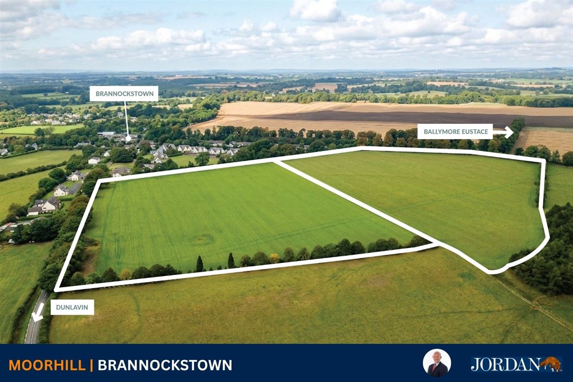 c. 32 Acres, Moorhill, Brannockstown, Kildare
