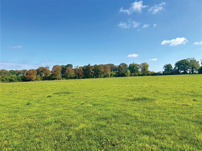 c. 32 Acres, Moorhill, Brannockstown, Kildare