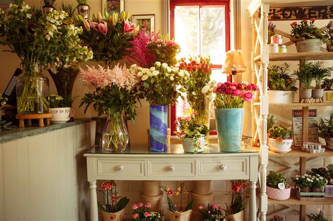 Flowers Forever, Raheen, Limerick