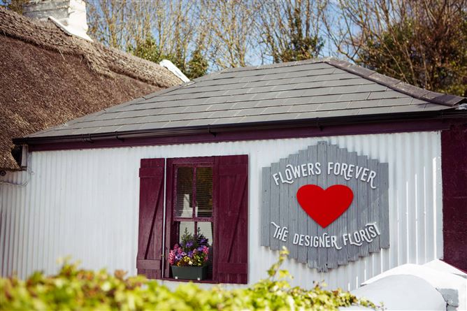Flowers Forever, Raheen, Limerick