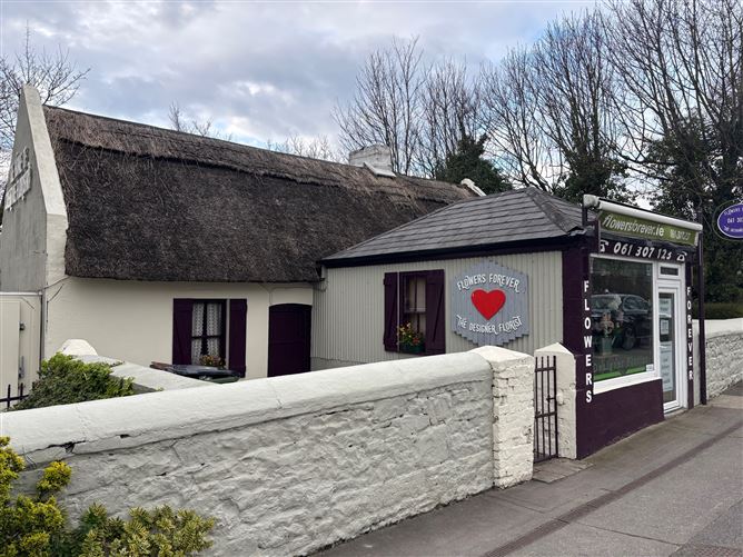Flowers Forever, Raheen, Limerick