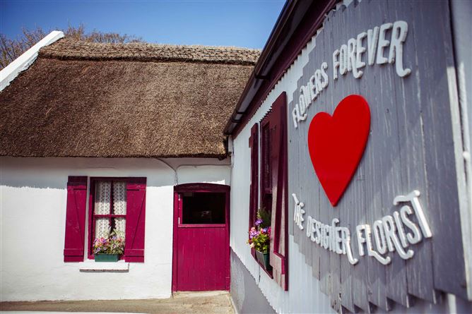 Flowers Forever, Raheen, Limerick