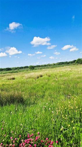 Lands Corryolus, Carrick-On-Shannon, Co. Leitrim