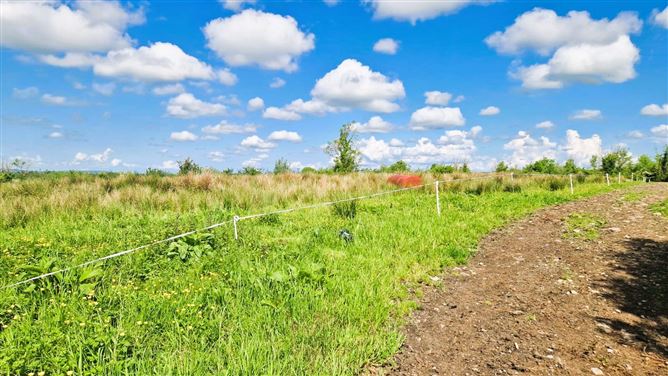 Lands Corryolus, Carrick-On-Shannon, Co. Leitrim