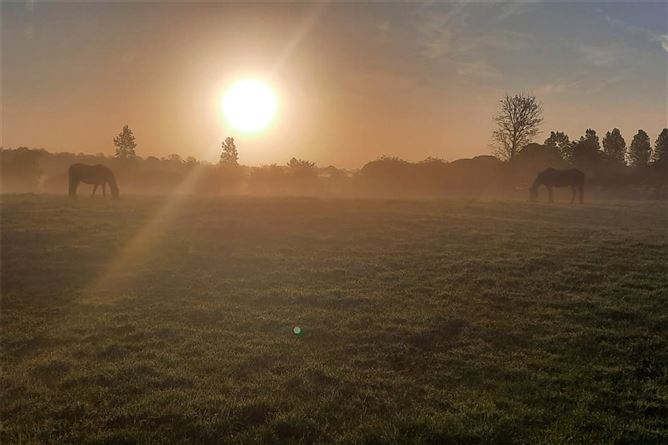 Knockara Stables On C.31acres, Knockara, Clashdrumsmith, Emly, Co. Tipperary