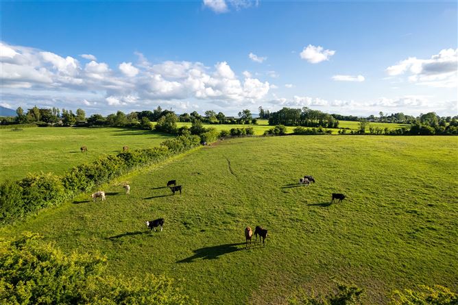 Knockara Stables On C.31acres, Knockara, Clashdrumsmith, Emly, Co. Tipperary