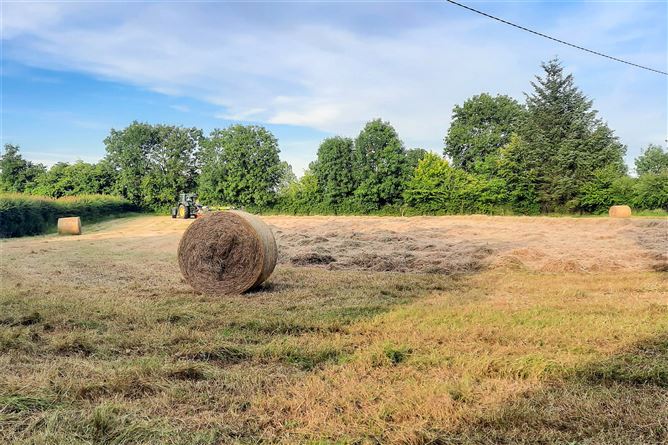 Knockara Stables On C.31acres, Knockara, Clashdrumsmith, Emly, Co. Tipperary