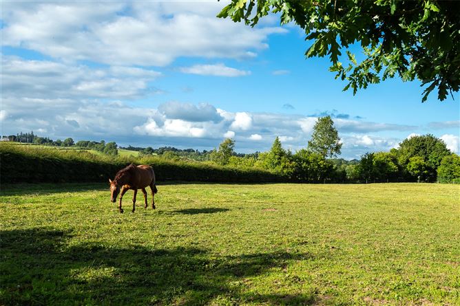 Knockara Stables On C.31acres, Knockara, Clashdrumsmith, Emly, Co. Tipperary