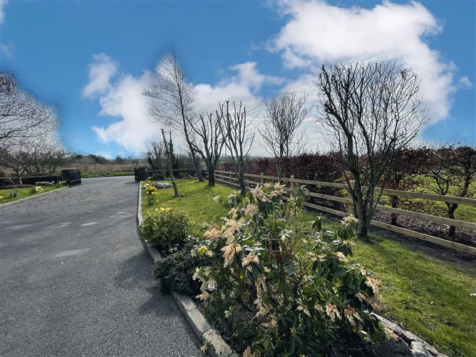 Gloves Middle, Athenry, Galway