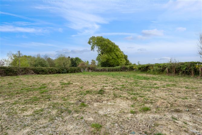 Photo 43 of 46 — Shady Nook, Carnagh, Foulksmills, Co. Wexford