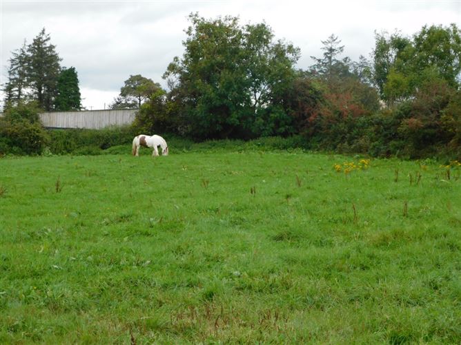 Ballinakill, Ballinamult, Dungarvan, Waterford