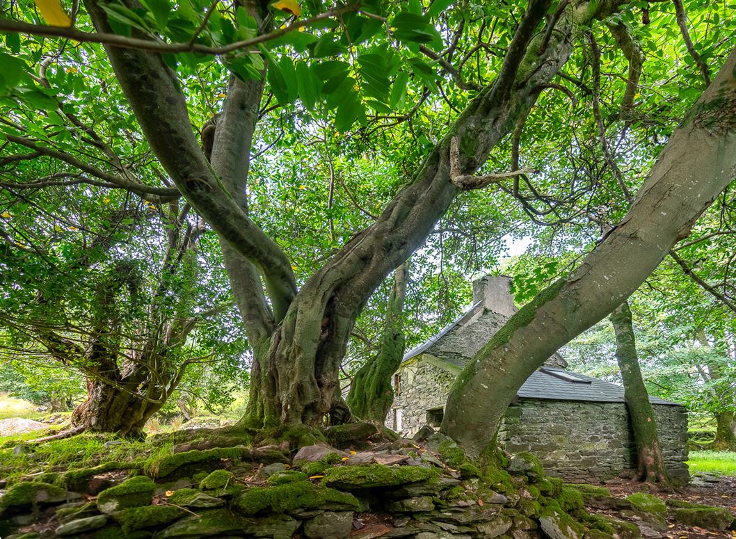 Earneen, Bonane, Kenmare, Co.Kerry