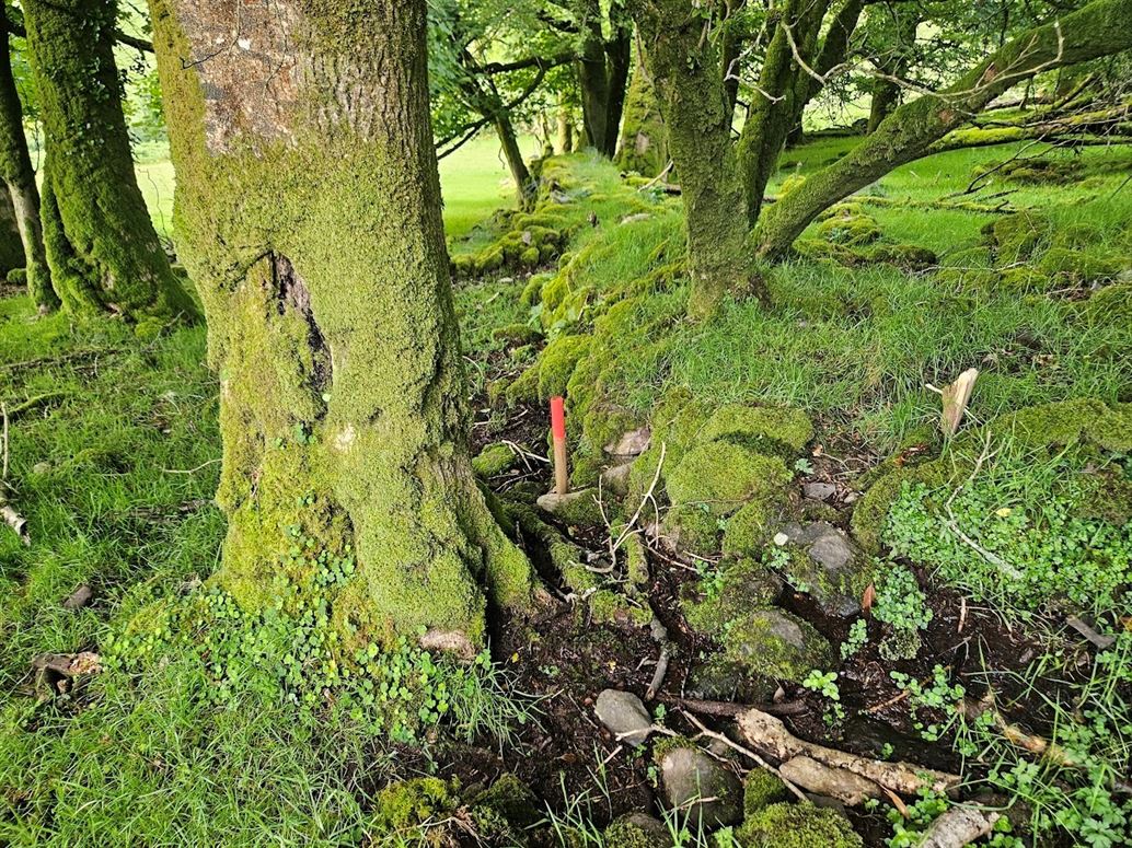 Earneen, Bonane, Kenmare, Co.Kerry
