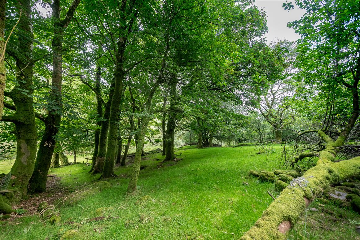 Earneen, Bonane, Kenmare, Co.Kerry