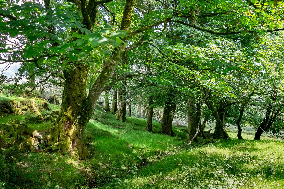 Earneen, Bonane, Kenmare, Co.Kerry