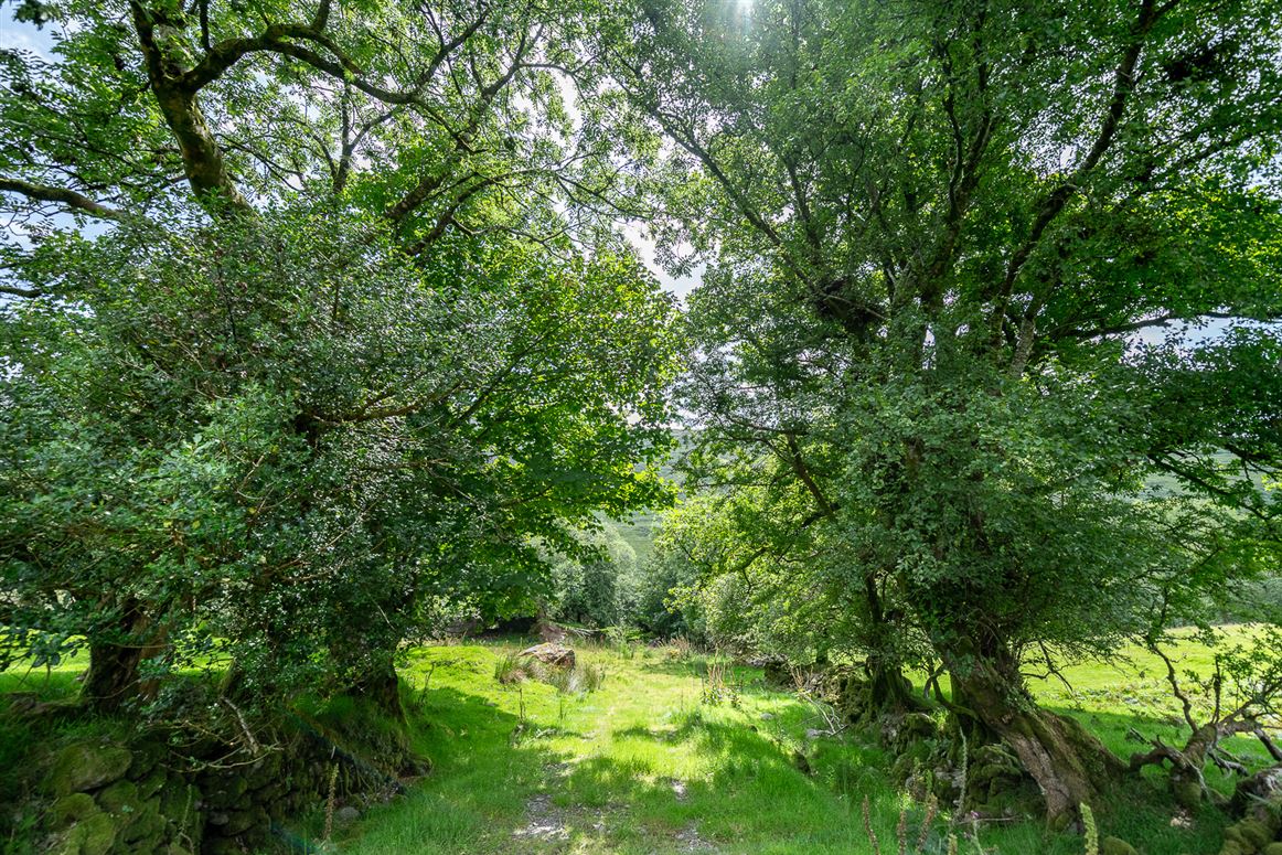 Earneen, Bonane, Kenmare, Co.Kerry