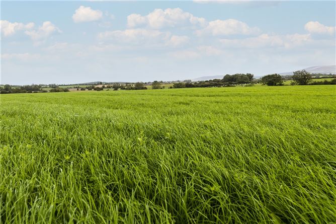 Summerville, Ballycormack, Bagenalstown, Co. Carlow