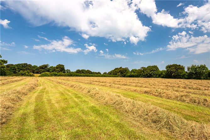Ardsallagh Estate, Ardsallagh, Fethard, Co. Tipperary