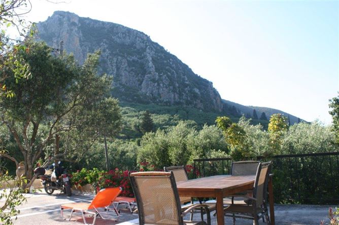 Private, ?. ???????????, Zante, Katastari