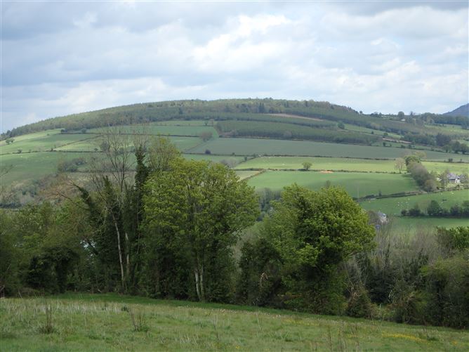 Glebe, Bunclody, Wexford