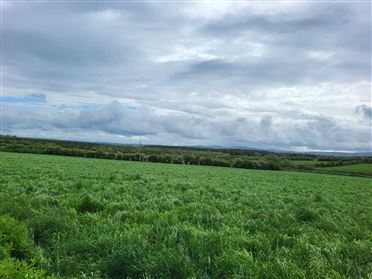 Image for Land At, Killahan, Abbeydorney, Co. Kerry