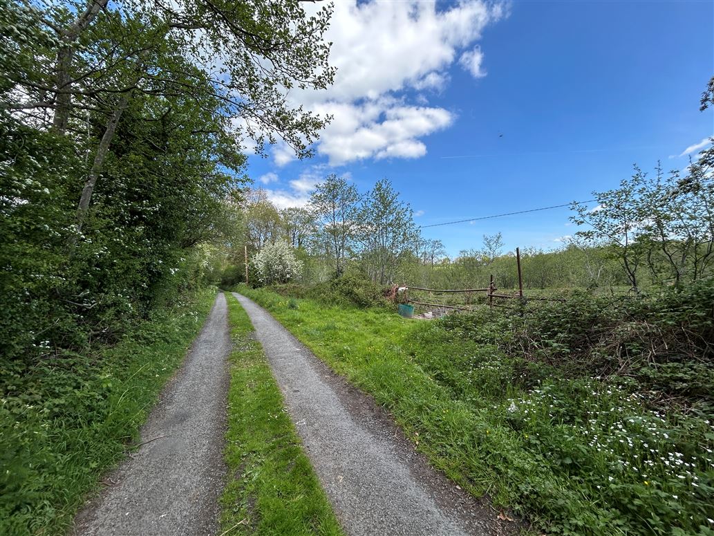 Site at Coolnalira, Ardnacrusha, Clare