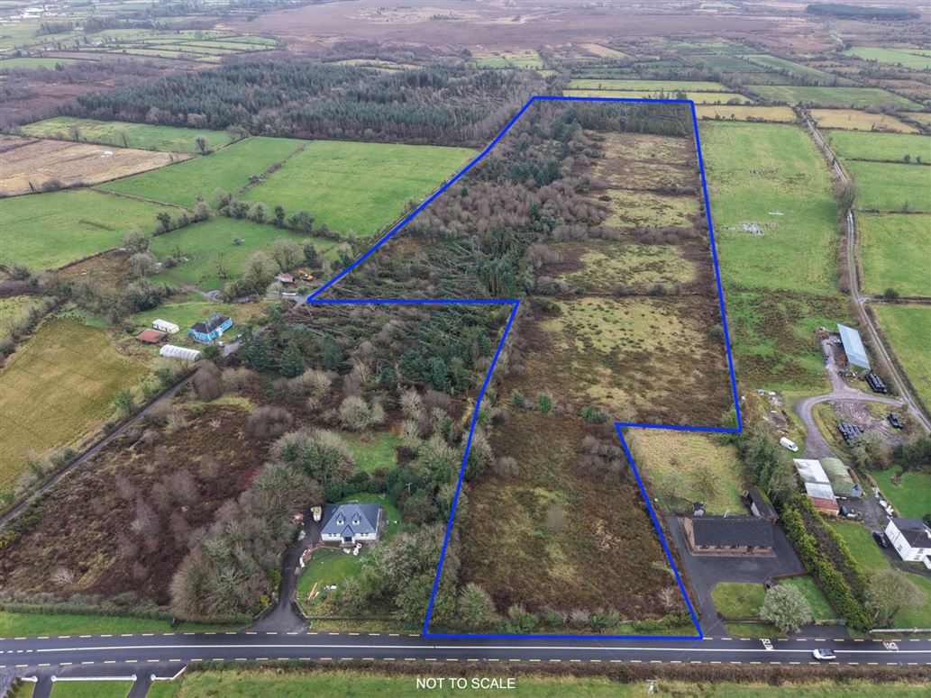 C. 20.88 Acres, Foughil, Trien, Castlerea, County Roscommon