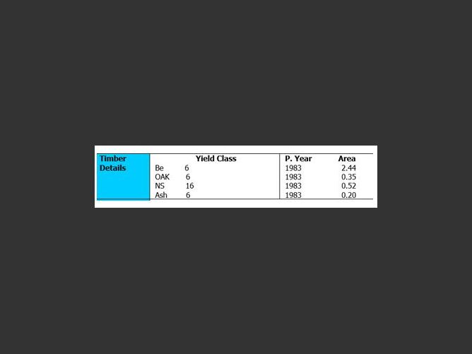 Forestry @ Flemington, Balrath, Meath