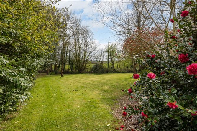 Willow Lodge, Ballyandrew, Ferns, County Wexford