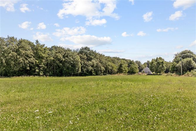 Site 3.3 Acres, Tottenhamgreen, Taghmon, Co. Wexford