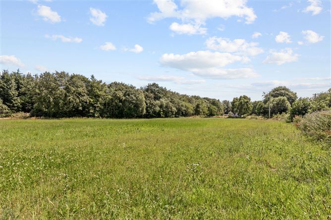 Site 3.3 Acres, Tottenhamgreen, Taghmon, Co. Wexford