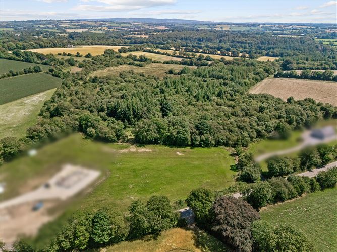 Site 3.3 Acres, Tottenhamgreen, Taghmon, Co. Wexford