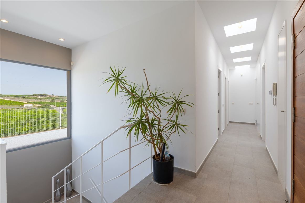 Sunny Sanctuary,Los Montesinos, Valencian Community, Spain