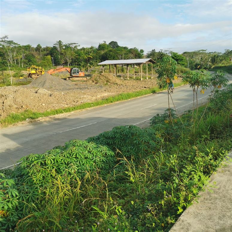 Private, Bayugan-Esperanza Road, Agusan del Sur, Hawilian