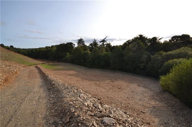 Sites Subject To PP, Curraghgraigue, Ballindaggin, Enniscorthy, Co. Wexford