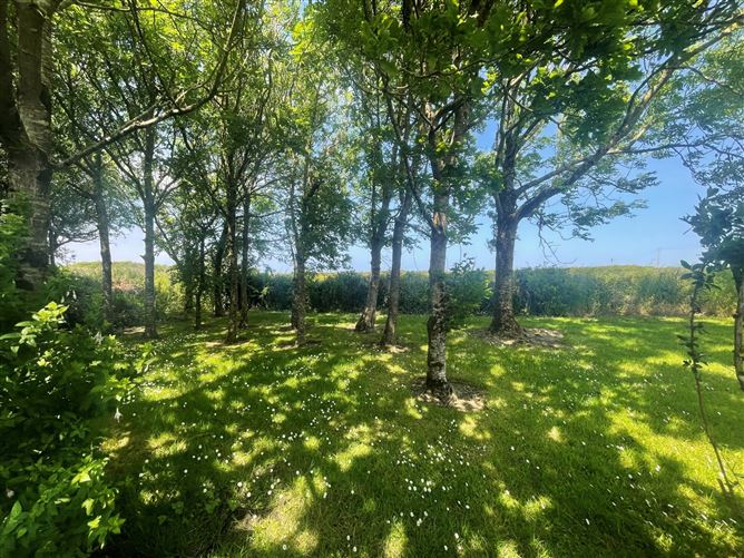 Clouncuneen, Carrigaholt, Co. Clare.