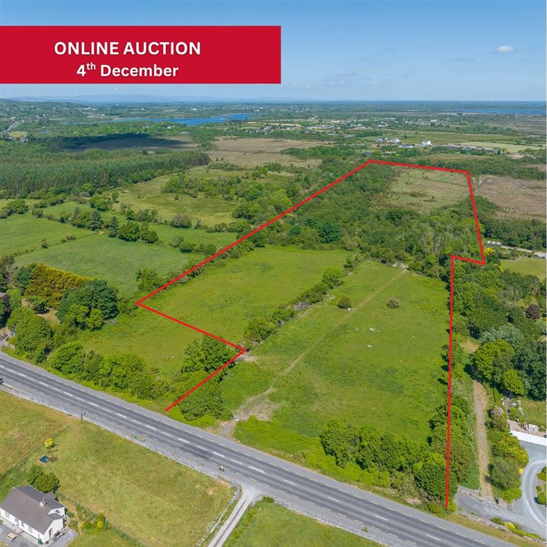 Woodstock Lands, Bushypark, Galway, Co. Galway